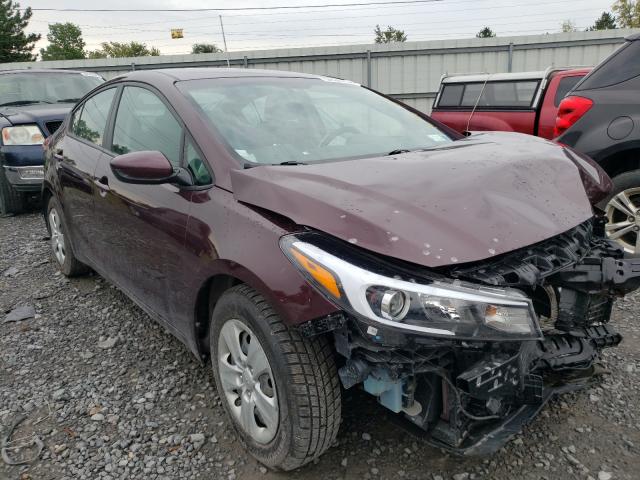 Kia Forte lx (2017)