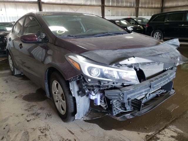 Kia Forte lx (2017)