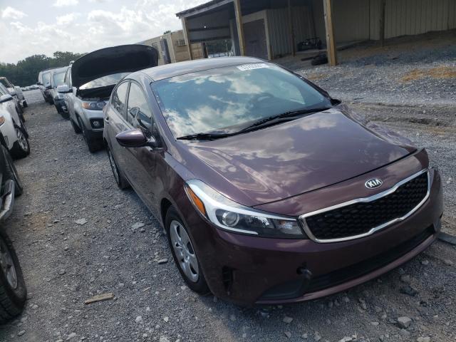 Kia Forte lx (2017)