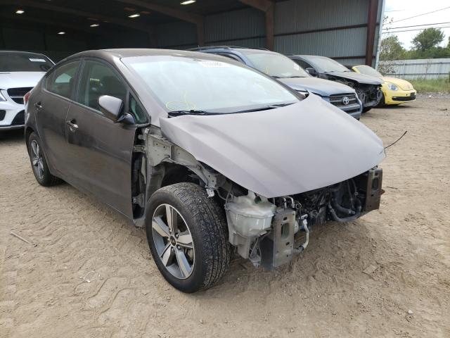 Kia Forte lx (2018)