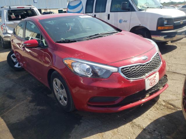 Kia Forte lx (2015)