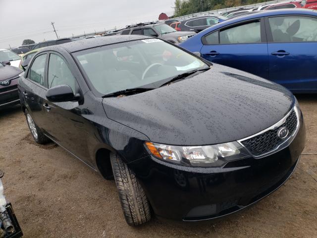 Kia Forte lx (2013)