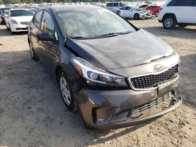 Kia Forte lx (2017)