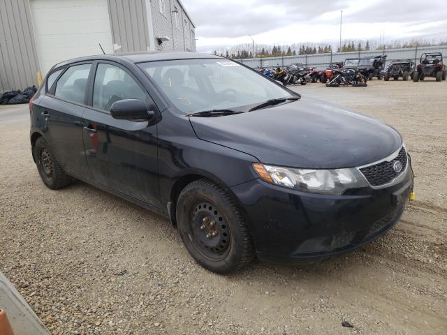 Kia Forte lx (2012)