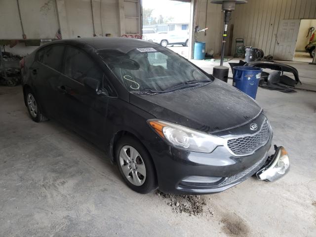 Kia Forte lx (2015)