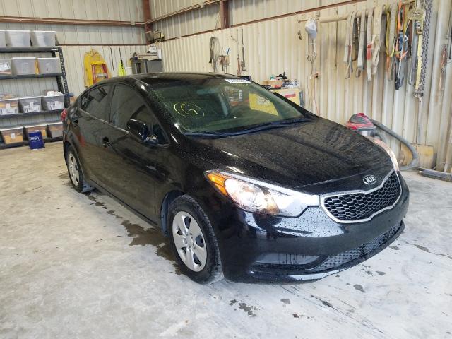 Kia Forte lx (2016)