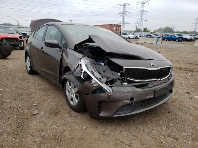 Kia Forte lx (2017)