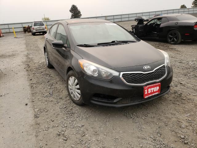 Kia Forte lx (2014)
