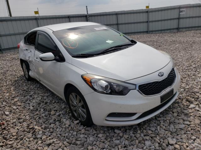 Kia Forte lx (2015)