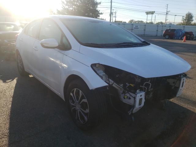 Kia Forte lx (2015)
