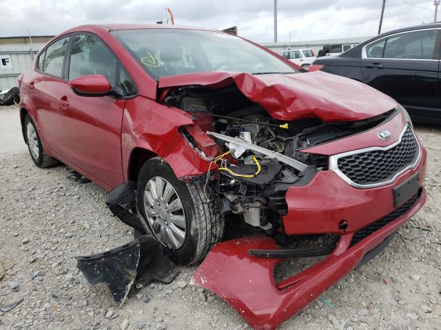 Kia Forte lx (2016)