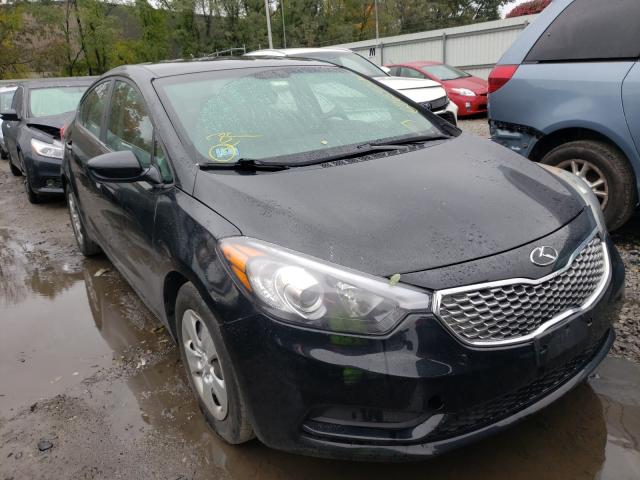 Kia Forte lx (2016)