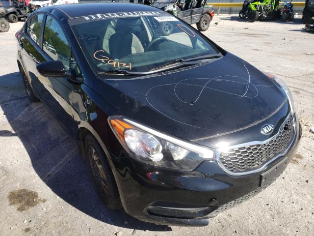 Kia Forte lx (2016)
