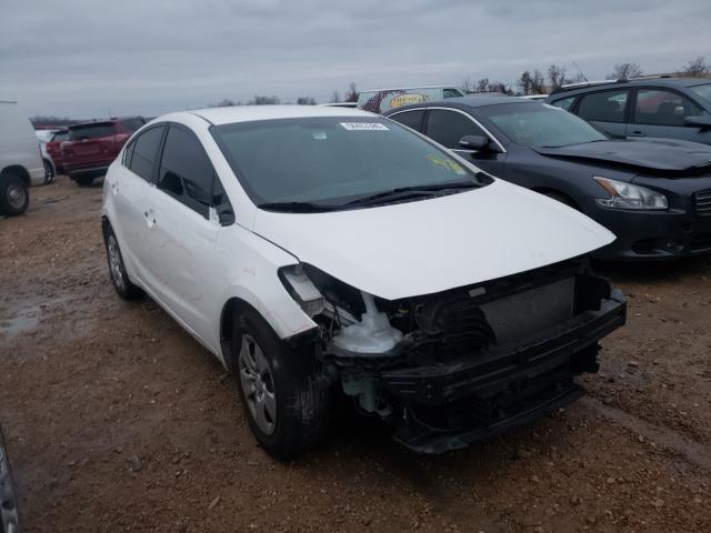 Kia Forte lx (2017)