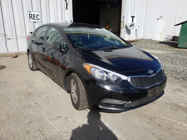 Kia Forte lx (2016)
