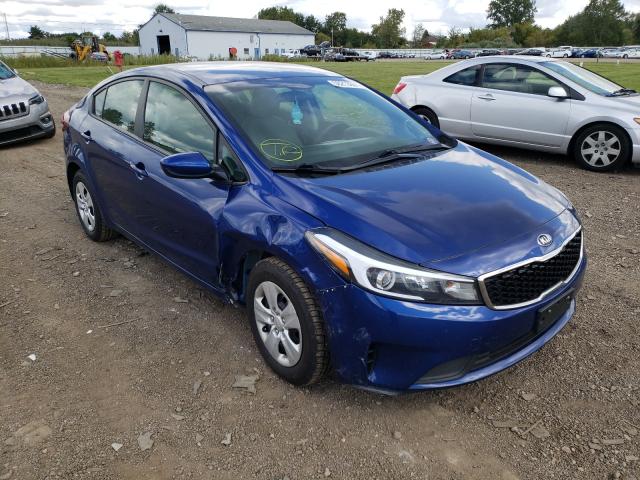Kia Forte lx (2017)