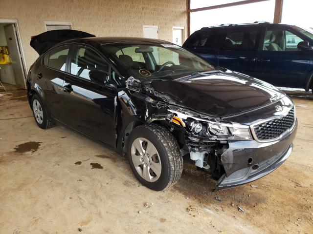 Kia Forte lx (2017)