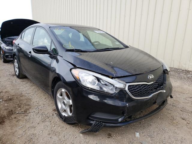 Kia Forte lx (2015)