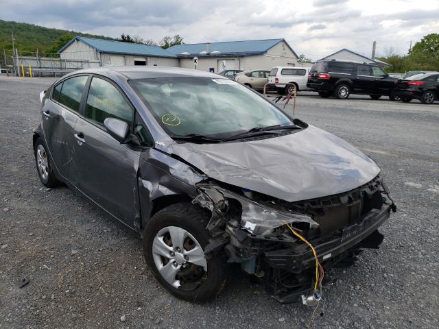 Kia Forte lx (2016)