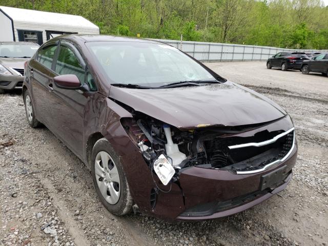 Kia Forte lx (2017)