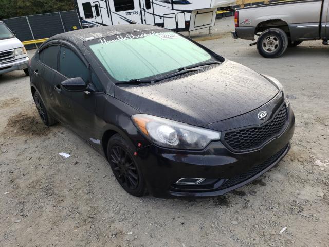 Kia Forte lx (2015)