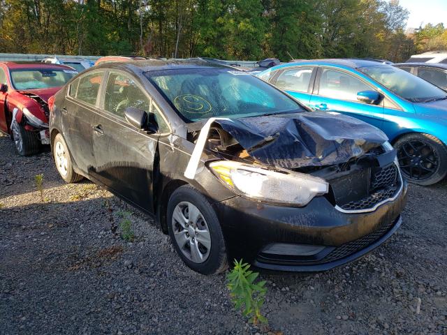 Kia Forte lx (2015)