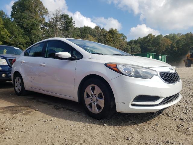 Kia Forte lx (2015)