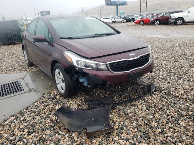 Kia Forte lx (2017)