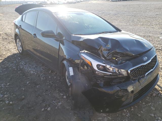 Kia Forte lx (2017)