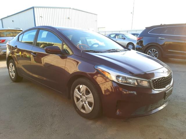 Kia Forte lx (2017)