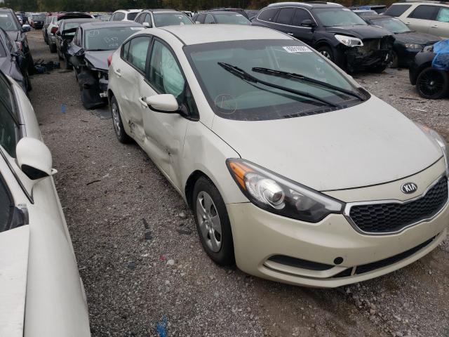 Kia Forte lx (2015)