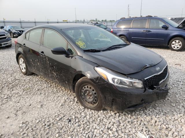Kia Forte lx (2017)