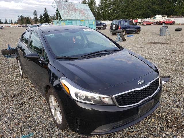 Kia Forte lx (2017)