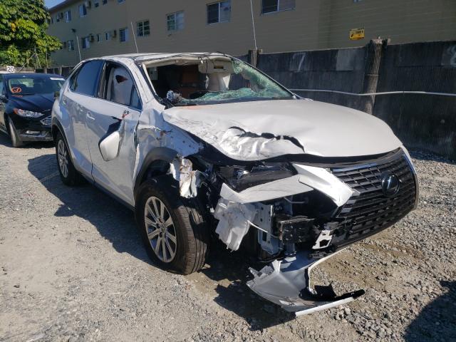 Lexus Nx 300 (2020)