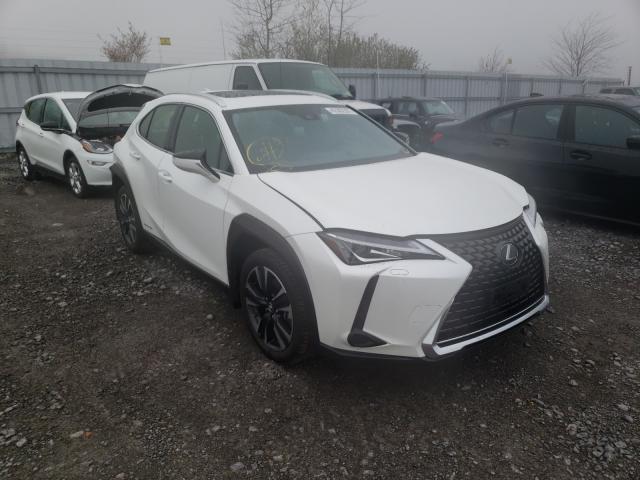 Lexus Ux250h (2019)