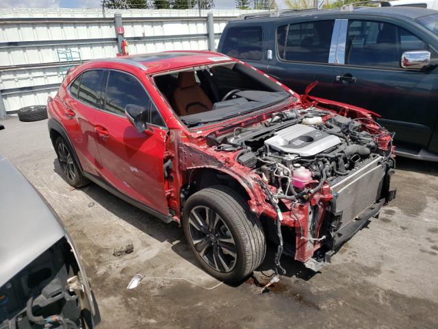 Lexus Ux 250h (2019)