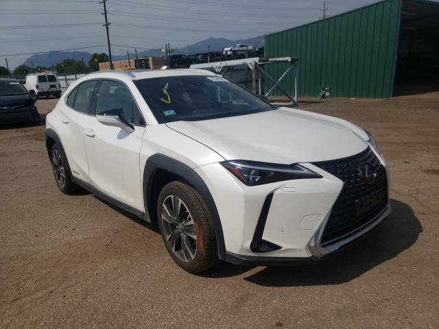 Lexus Ux250h (2019)