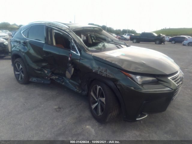 Lexus Nx 300 (2020)
