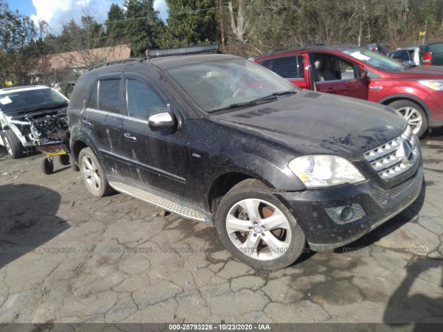Mercedes-benz M-class (2010)