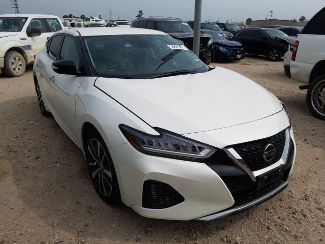 Nissan Maxima sv (2020)
