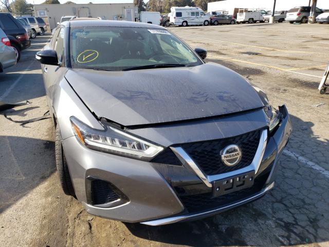 Nissan Maxima sv (2020)