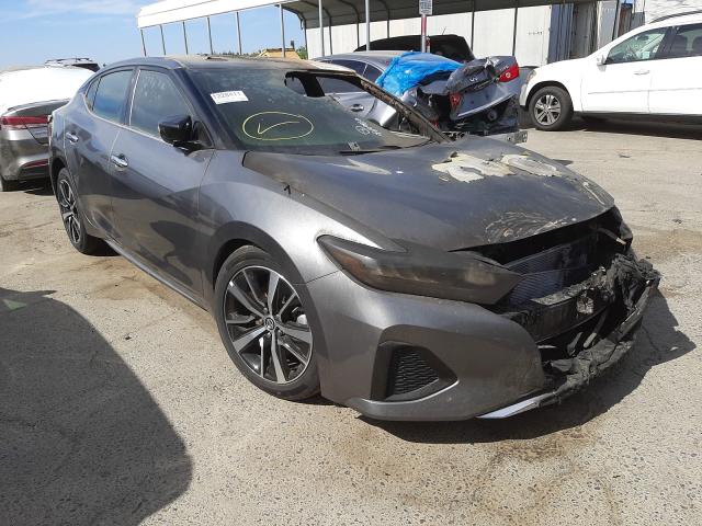 Nissan Maxima sv (2021)