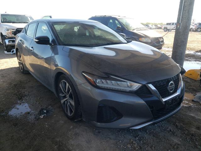 Nissan Maxima sv (2020)