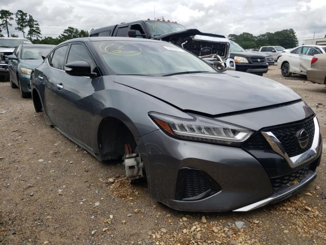 Nissan Maxima sv (2020)