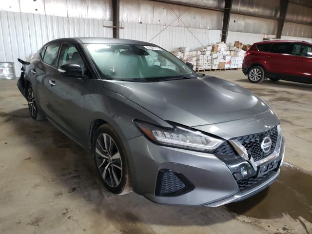Nissan Maxima sv (2020)