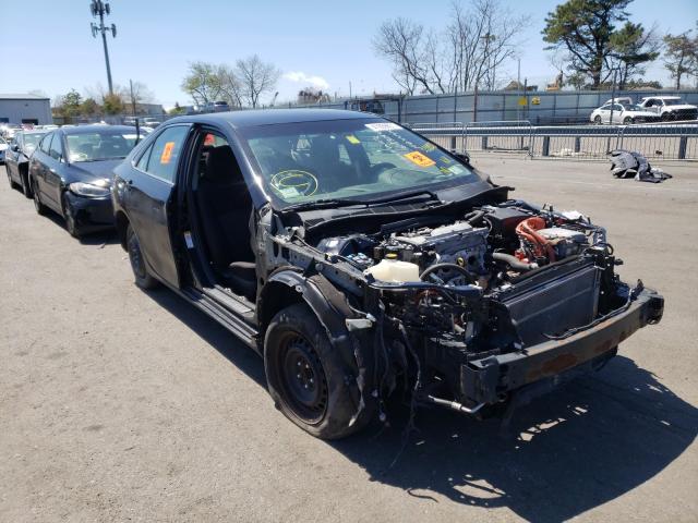Toyota Camry hybr (2015)