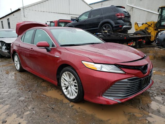 Toyota Camry hybr (2019)
