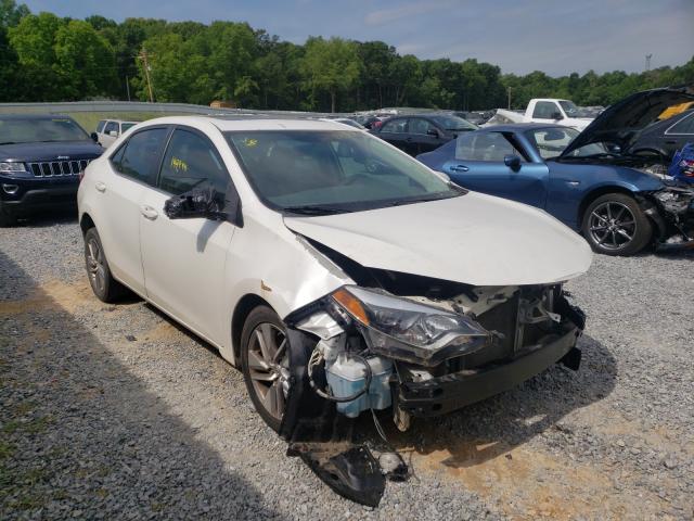 Toyota Corolla ec (2014)