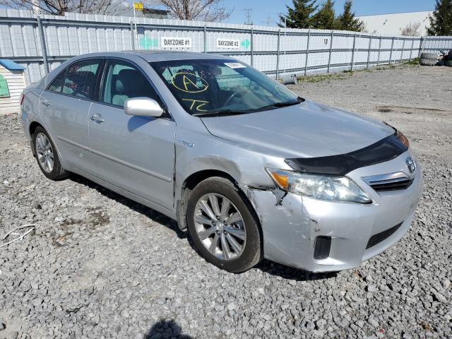 Toyota Camry hybr (2010)