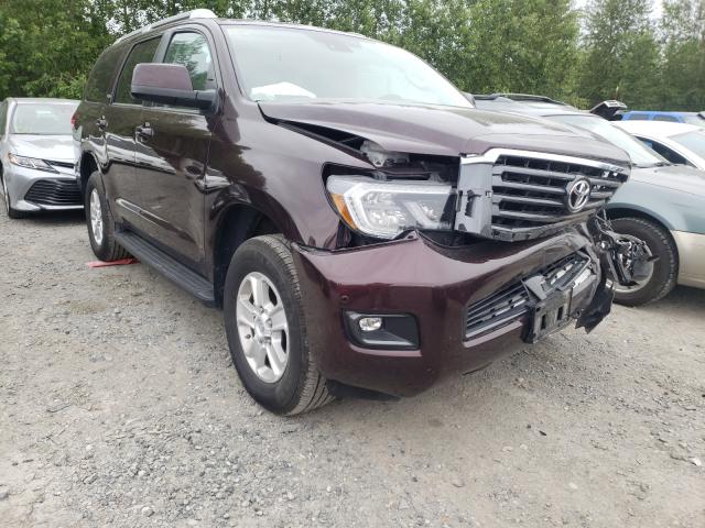Toyota Sequoia sr (2019)